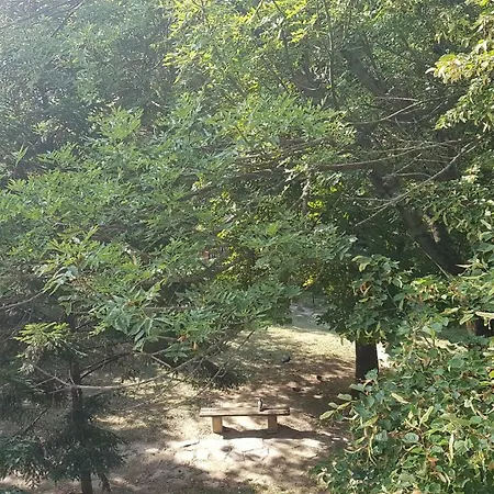 Апартамент Романтика Veliko Tarnovo